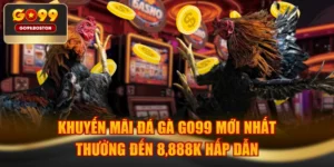 Khuyến Mãi Đá Gà GO99 Mới Nhất, Thưởng Đến 8,888K Hấp Dẫn